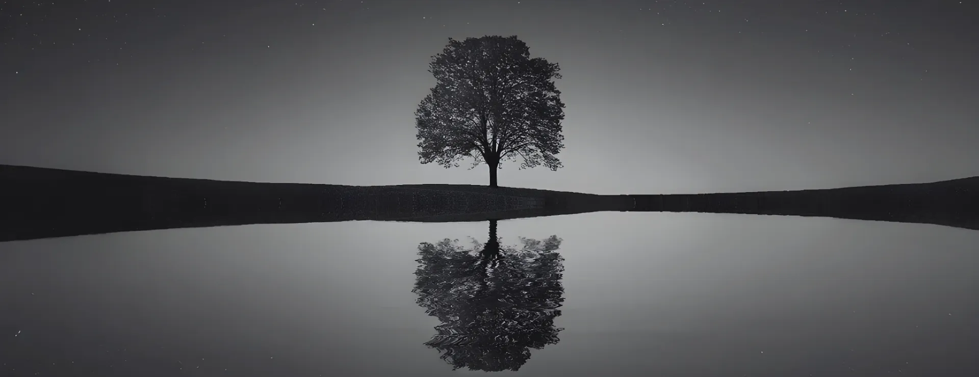 Tree reflected in water