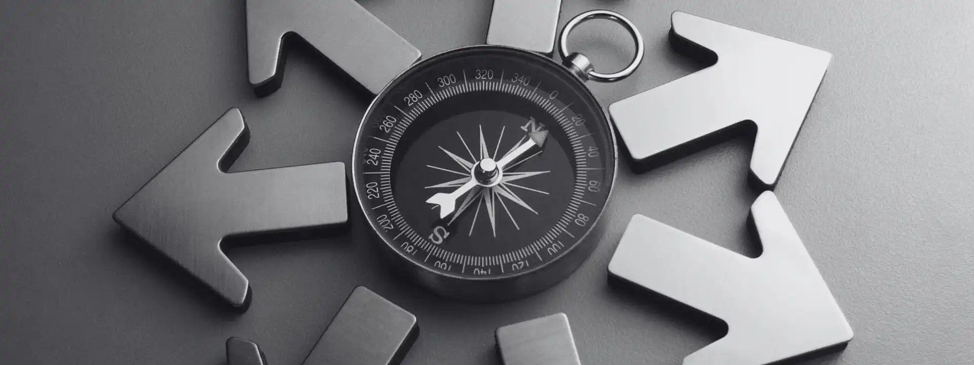 Compass depicting Holistic Progression